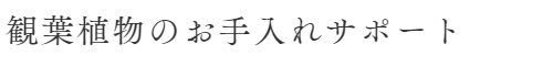 観葉植物のお手入れサポート